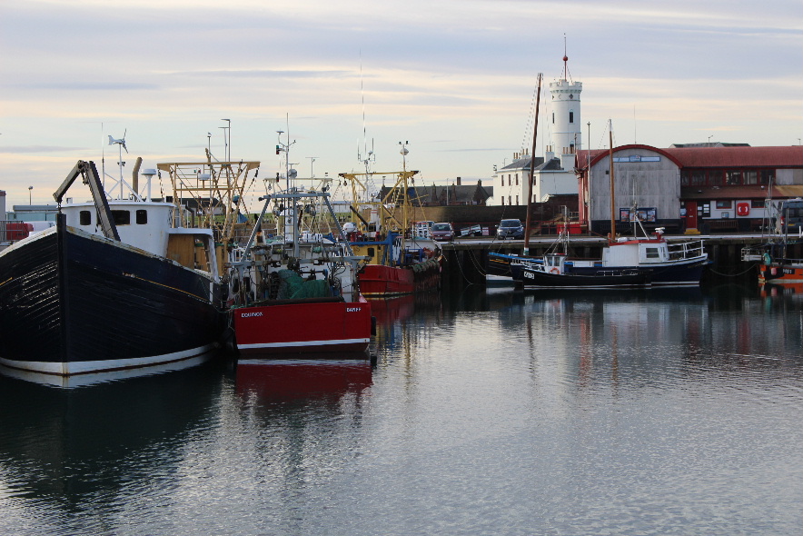 Author escape –&nbsp;Angus